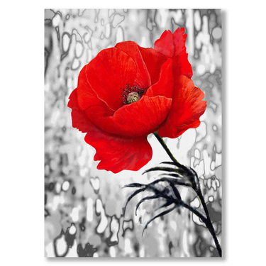 Fiore Rosso Il mio negozio