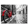 La bici rossa Il mio negozio