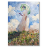 The Geese Claude Monet Il mio negozio