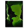 Hulk Il mio negozio