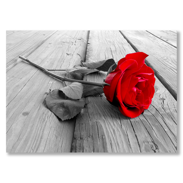 L'amore perduto Il mio negozio