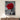 La Rosa Rossa Il mio negozio