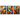 Metamorfosi Cromatica