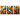 Metamorfosi Cromatica