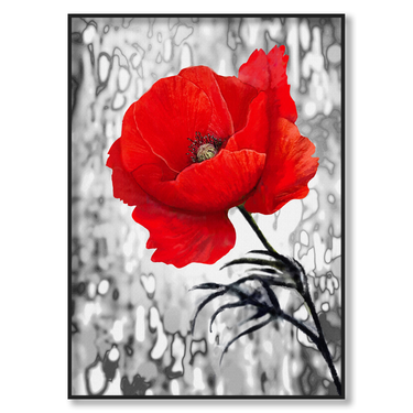Fiore Rosso Il mio negozio
