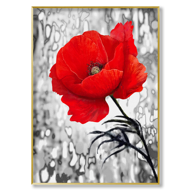 Fiore Rosso Il mio negozio