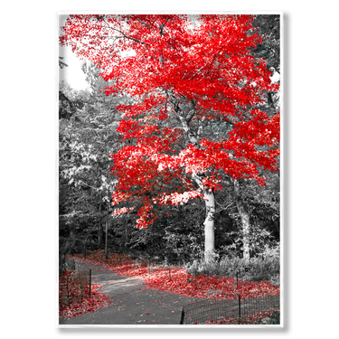 L'Autunno Rosso Il mio negozio