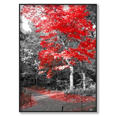 L'Autunno Rosso Il mio negozio