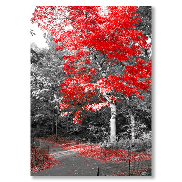 L'Autunno Rosso Il mio negozio