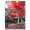 L'Autunno Rosso Il mio negozio