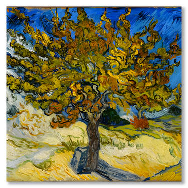 L'albero di gelso, Van Gogh – Quadro su tela riproduzione d'arte quadrato