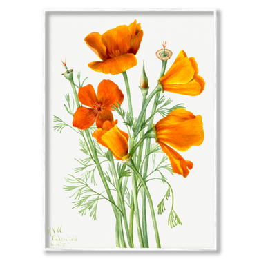 Papaveri di Sole – Quadro su tela astratto fiori moderno verticale