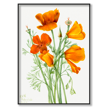 Papaveri di Sole – Quadro su tela astratto fiori moderno verticale