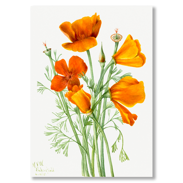 Papaveri di Sole – Quadro su tela astratto fiori moderno verticale