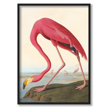 Fenicotteri – Quadro su tela animali verticale
