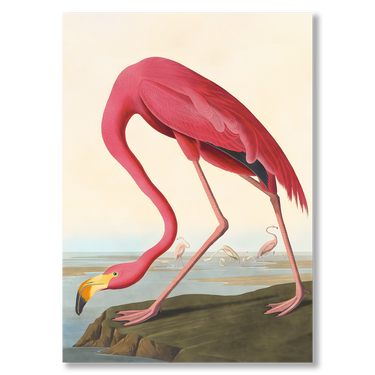 Fenicotteri – Quadro su tela animali verticale