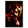 Iron Man Il mio negozio