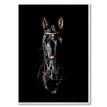 Ombra Selvaggia – Quadro su tela animali fotografia verticale