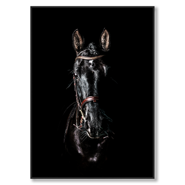 Ombra Selvaggia – Quadro su tela animali fotografia verticale