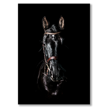Ombra Selvaggia – Quadro su tela animali fotografia verticale
